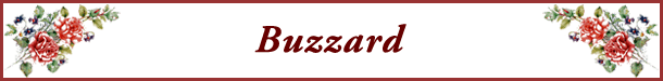 Banner for Buzzard