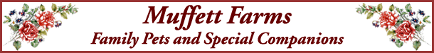 Banner for Muffett Farms Family Pets