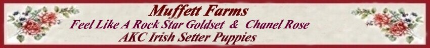 Sales List Banner