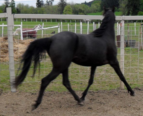 Malabo's All American Charm