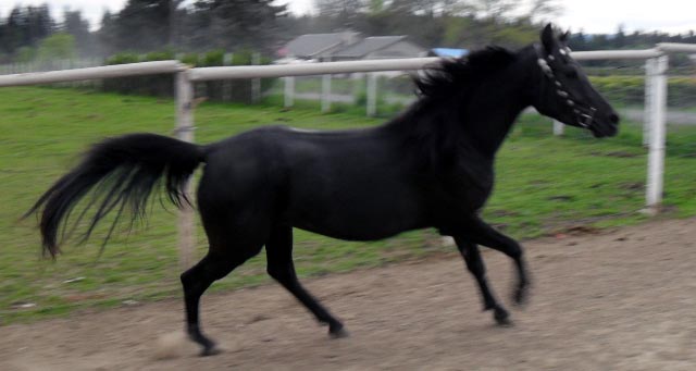 Malabo's All American Charm