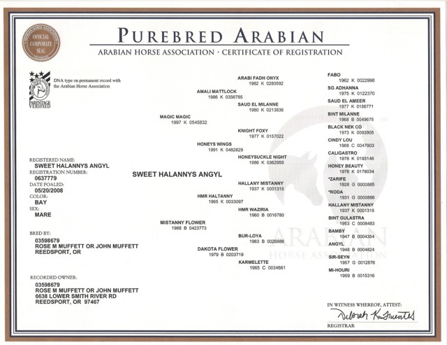 AHA Registration Certificate