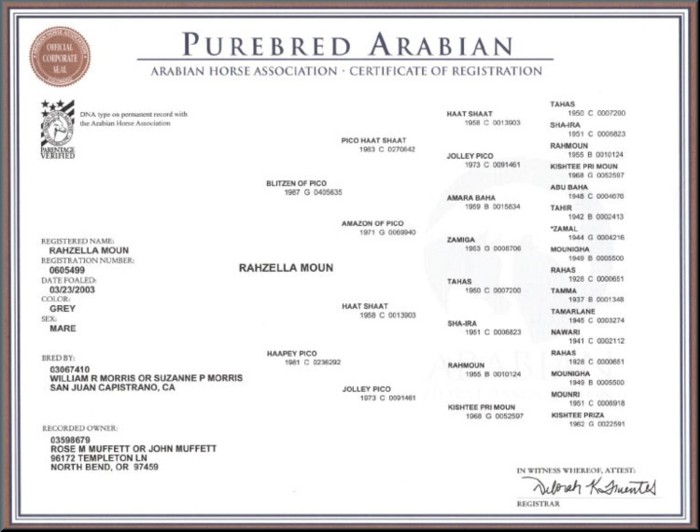 Rahzella Moun's Pedigree