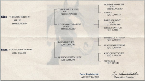 Little Sister Pedigree