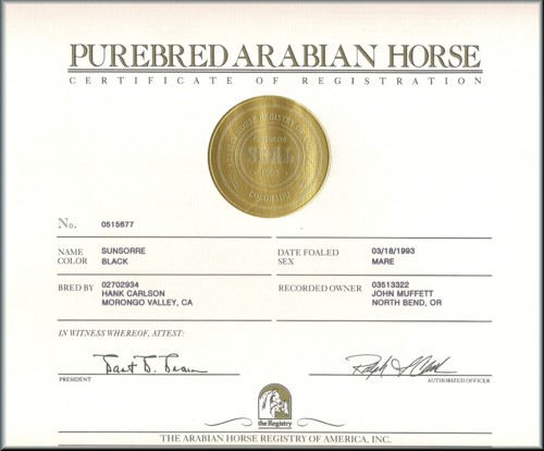 Sunsorre Pedigree
